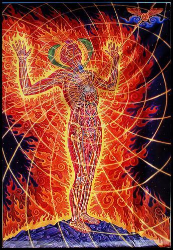 alex grey1