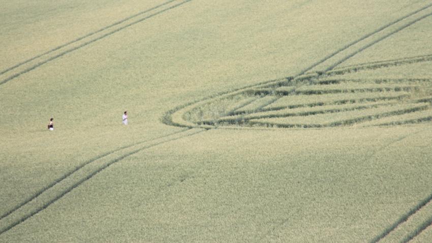 rutengeher-im-feld a