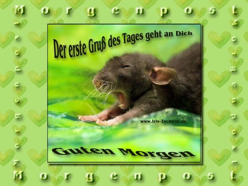 guten-morgen02