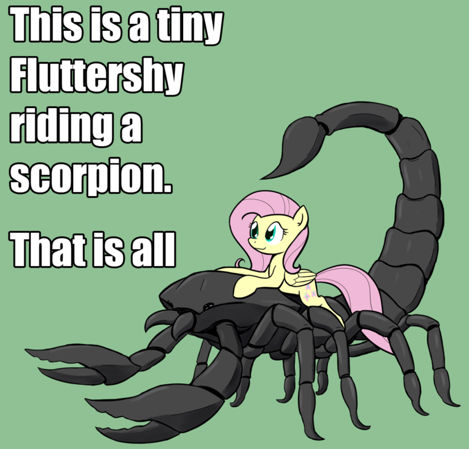tiny fluttershy riding a scorpion  by wh
