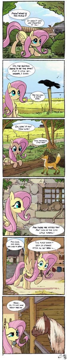 mlp meets real world  similarities by fi