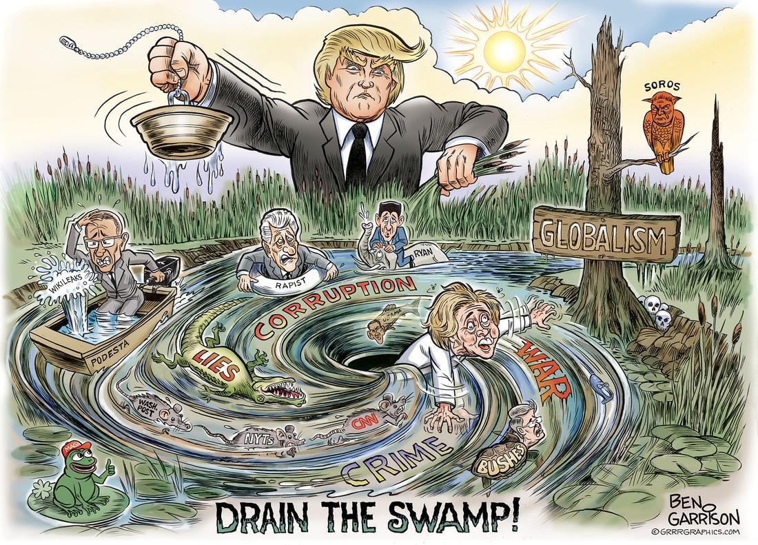 20161022 swamp