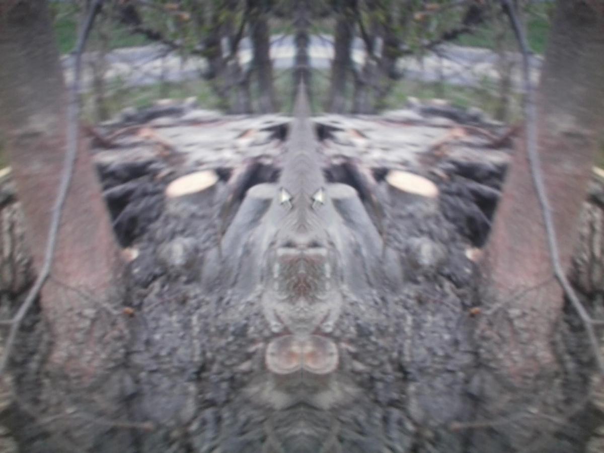 d3ea0b Foto0025T