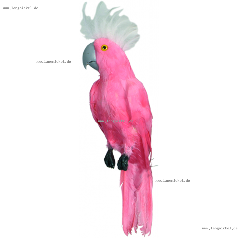 3e0ee6 rosa vogel