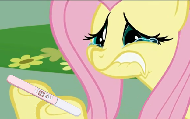 1061360 safe solo fluttershy meme screen