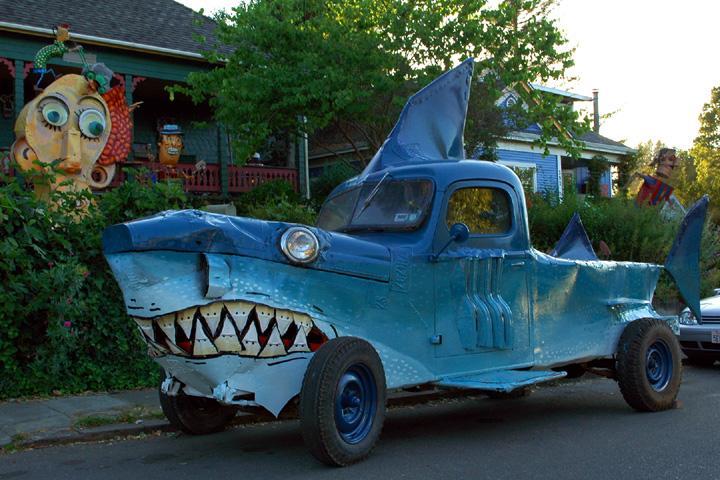 shark car lrg