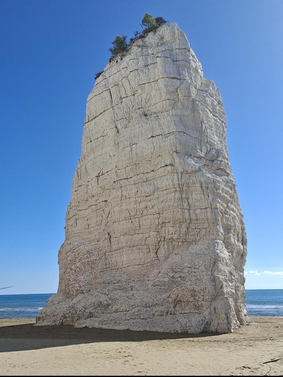 Screenshot 20251019 092830 Gallery