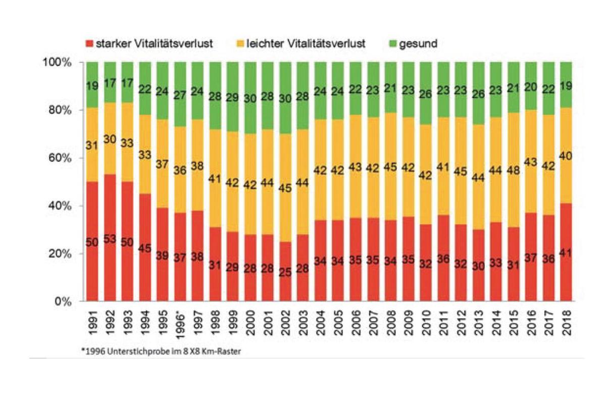 TH-Waldzustandsbericht 2018