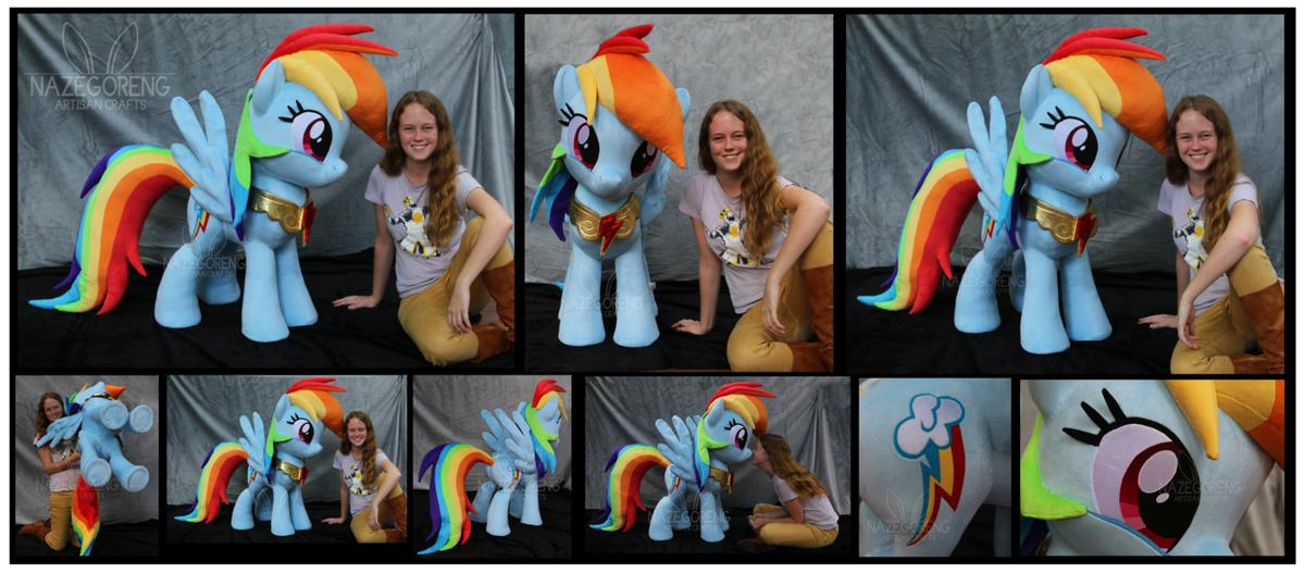 lifesize rainbow dash custom plush by na