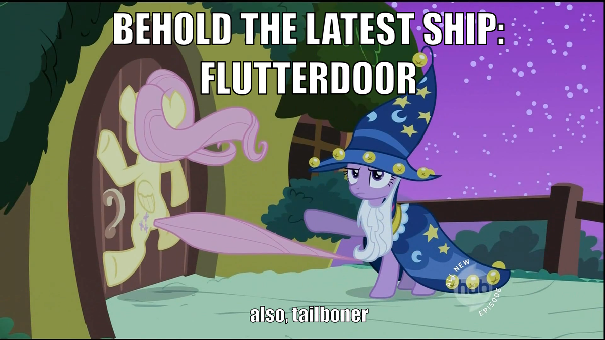 74913 - flutterdoor fluttershy meme ship