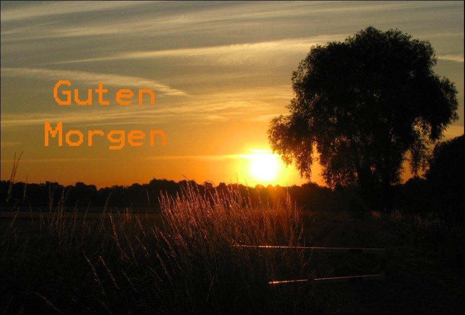 sonnenaufgang-guten-morgen-sonntagsgruss