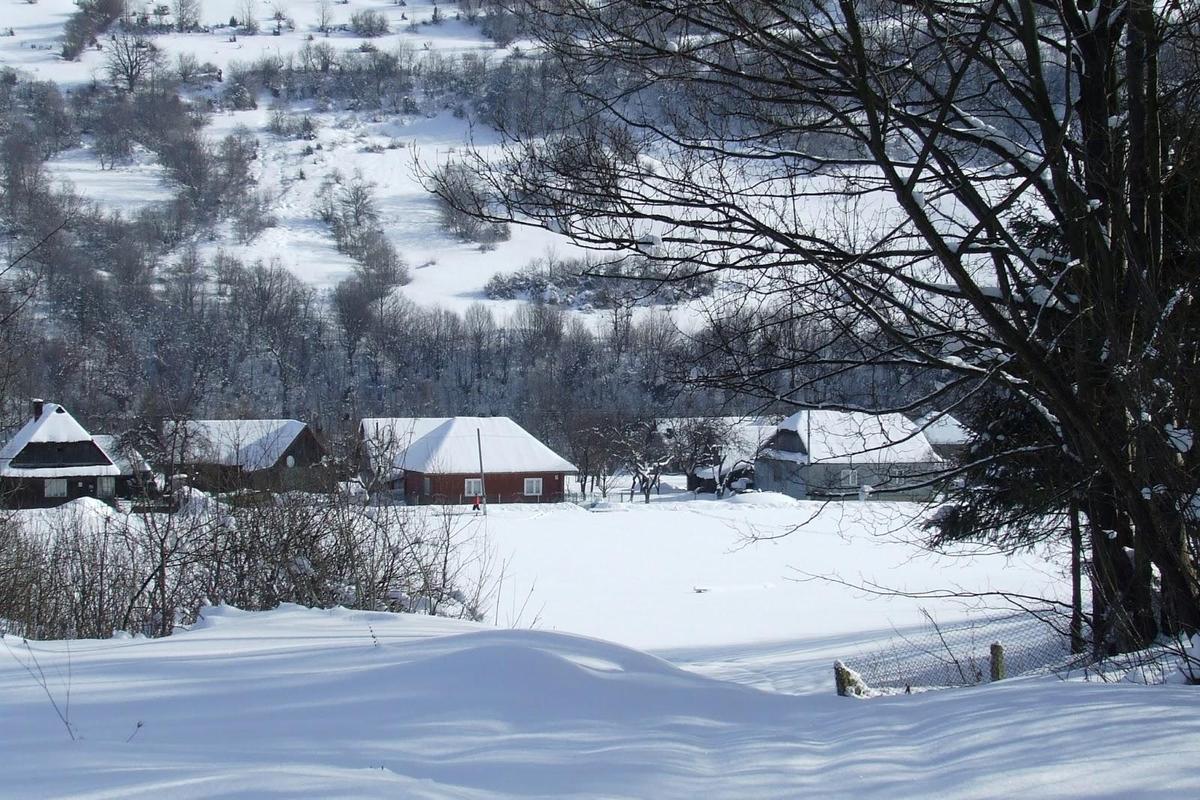 2013-02-20 Schneelandschaft 3