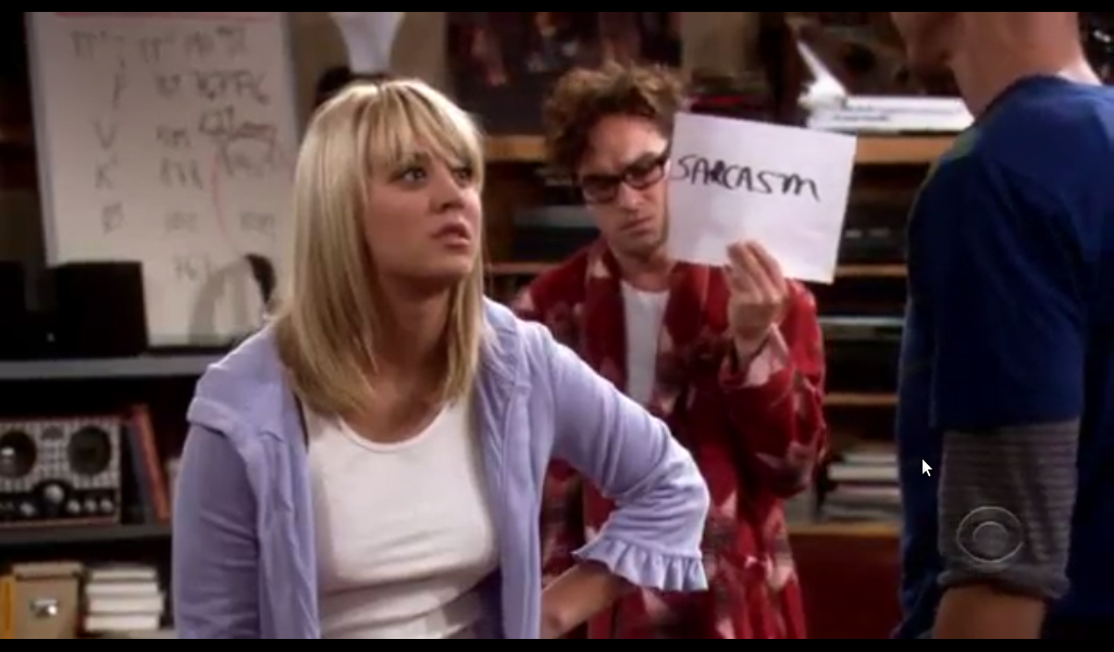 Big Bang Theory Leonards sarcasm sign.pn