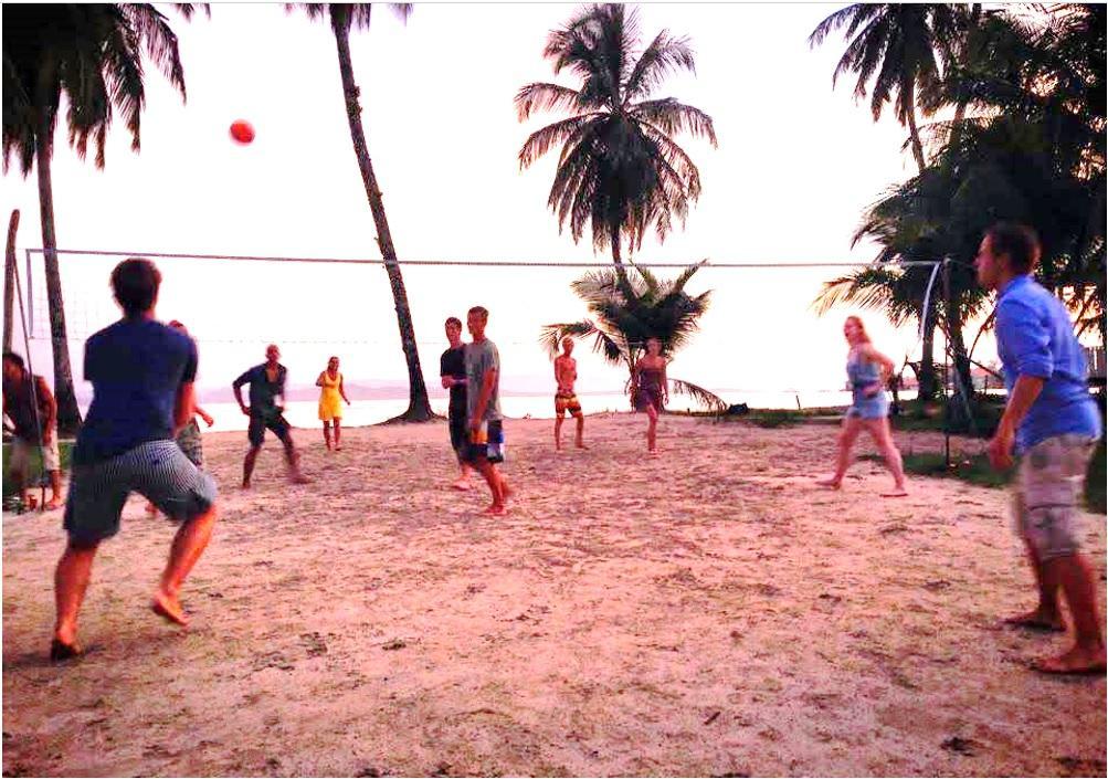 Volleybal