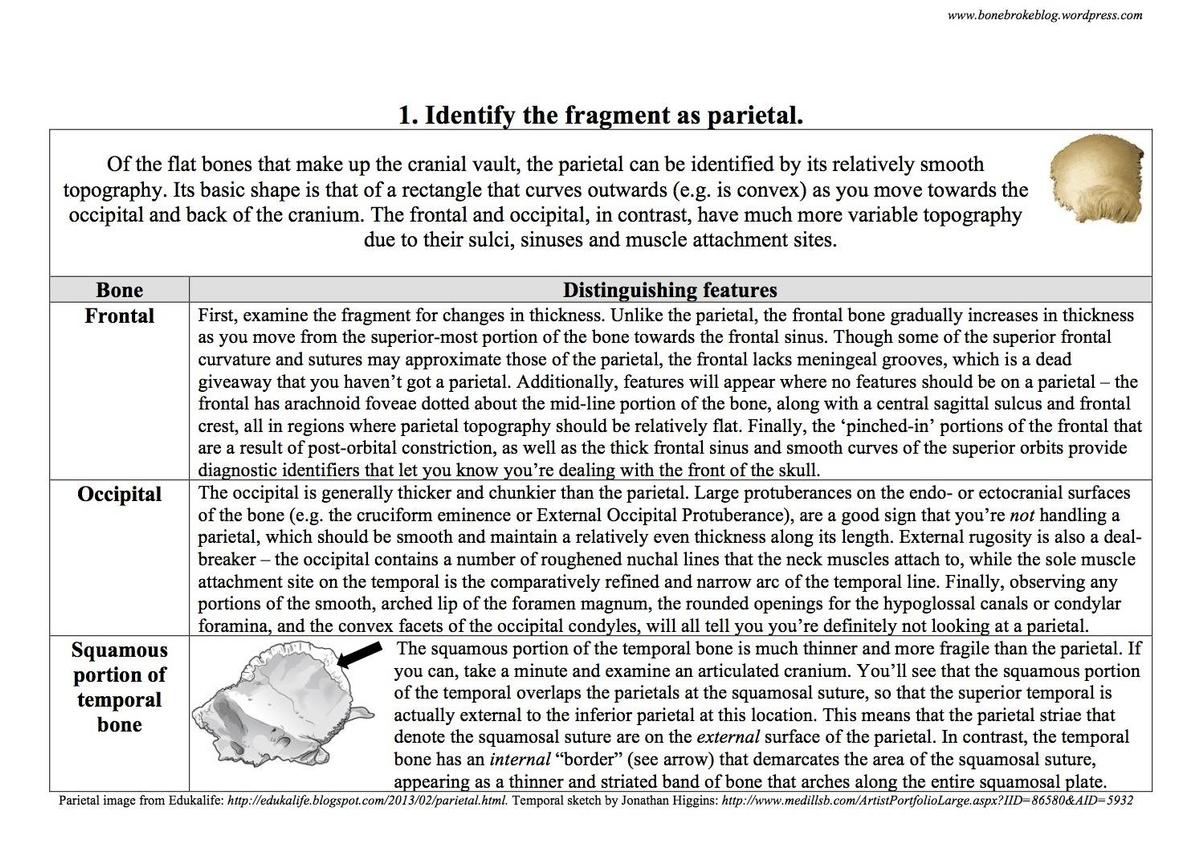 distinguishing-parietal-from-other-flat-