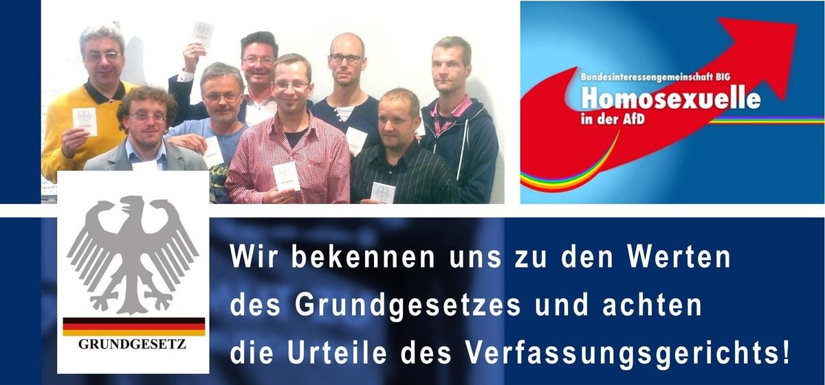 SCHWULE-IN-DER-AFD