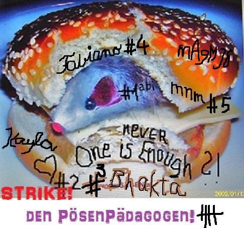 a43b33 maus 161a