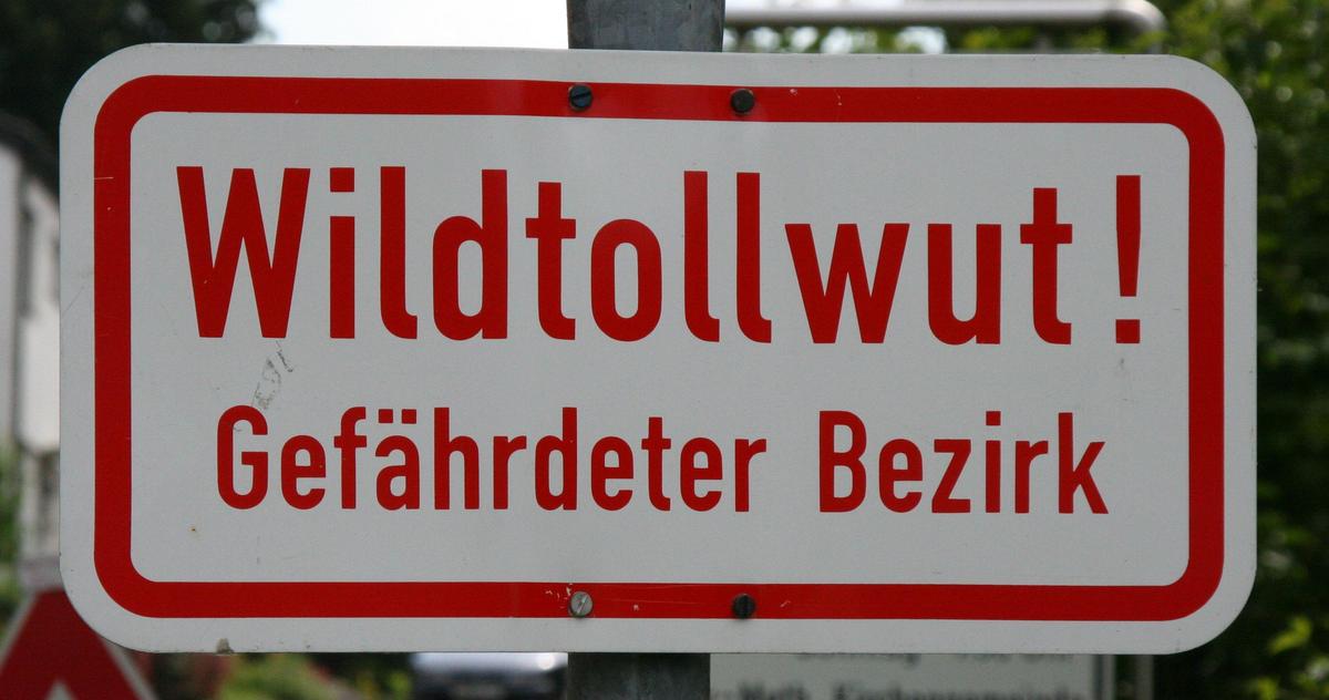 schild wildtollwut