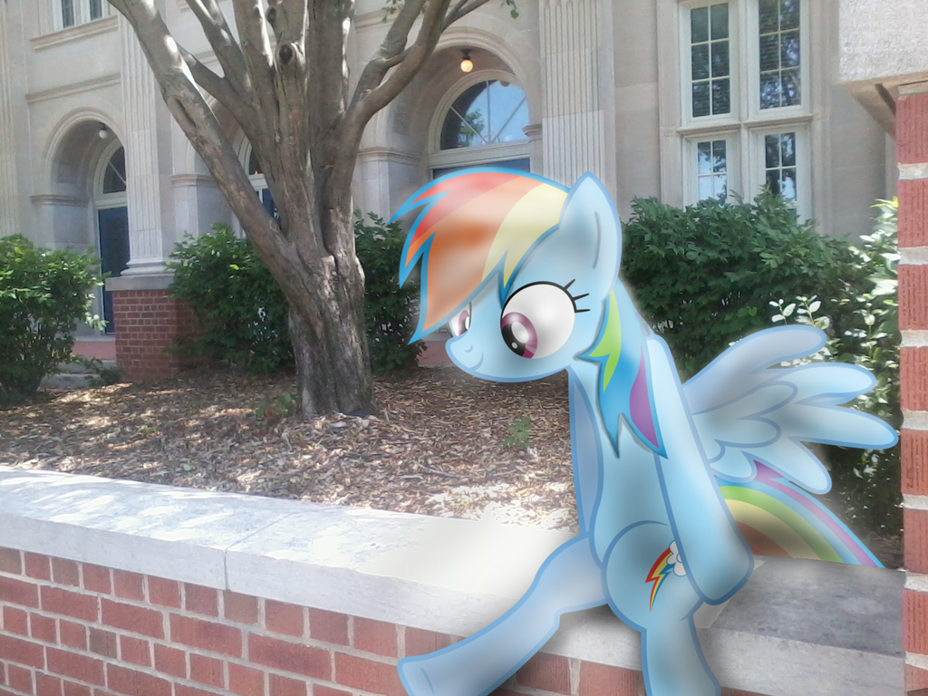 rainbow dash sitting in front of my scho