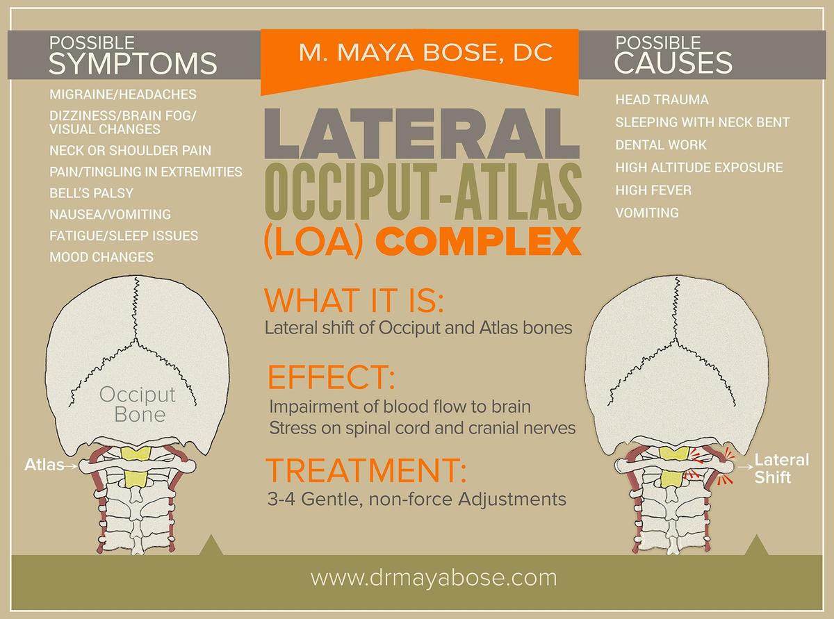 lateral-occiput-atlas-complex