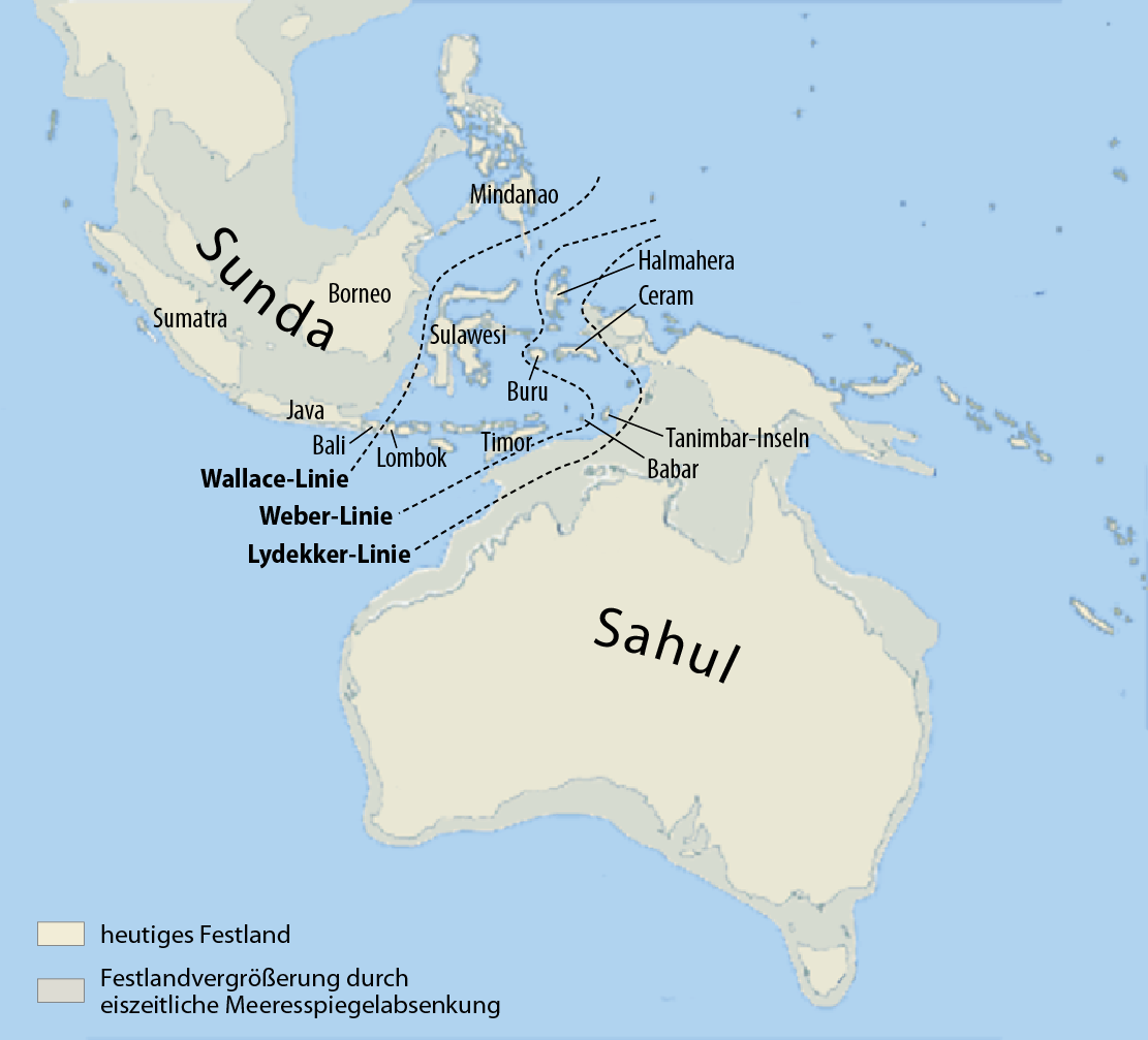 Karte von Sunda und Sahul