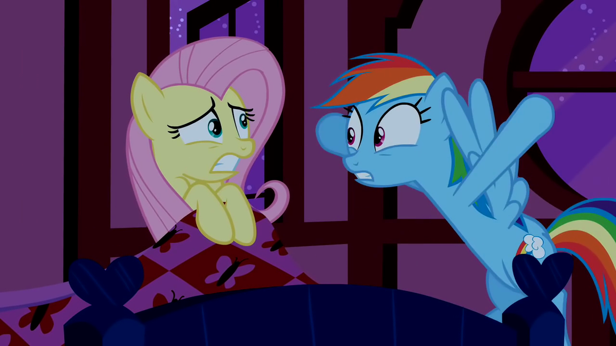Rainbow Dash urges Fluttershy to get out