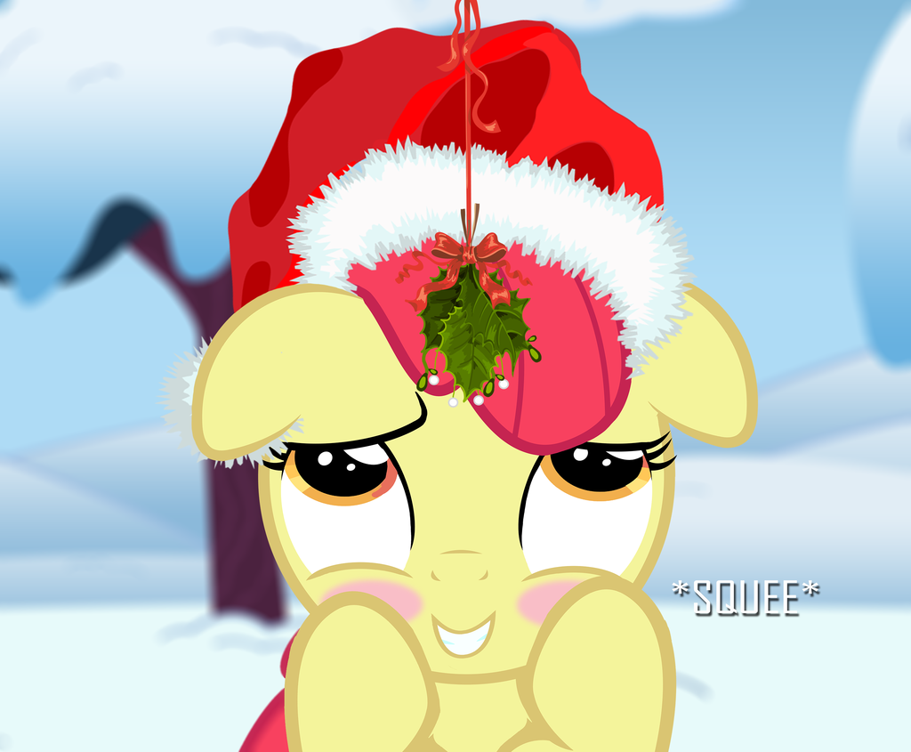 apple bloom    the cute little christmas