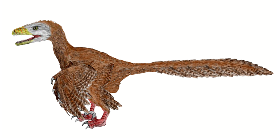 Deinonychus BW-2