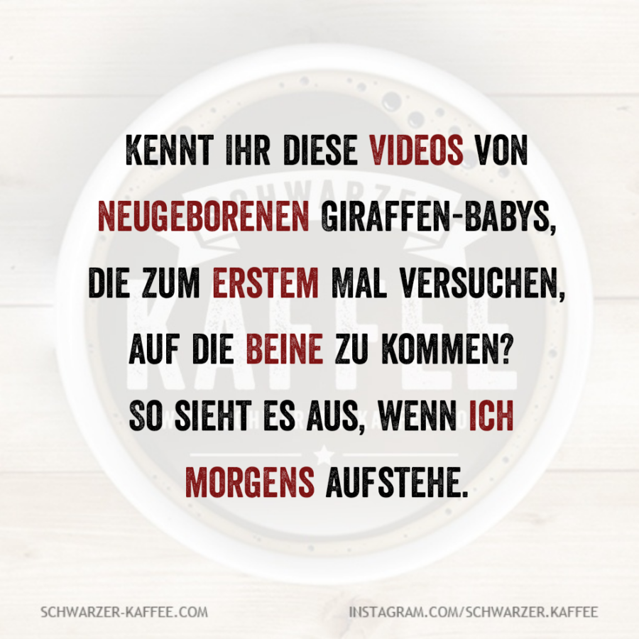Quotes-Creator-com.ist .quotescreator-17