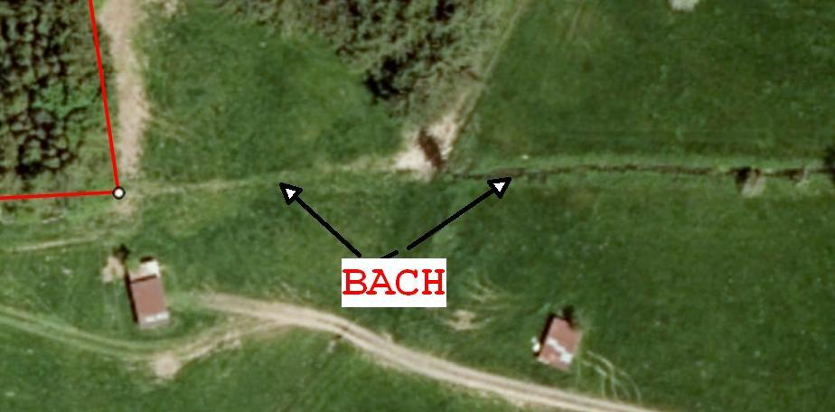 BACH