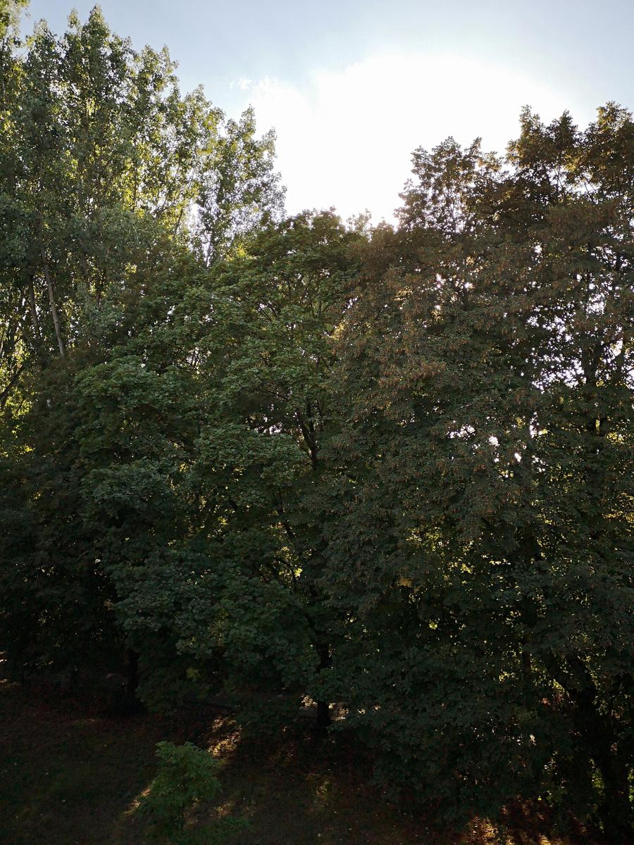 IMG 20220828 175725