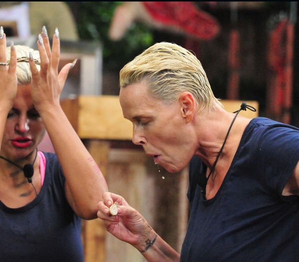 Screenshot 2026-02-04 153129