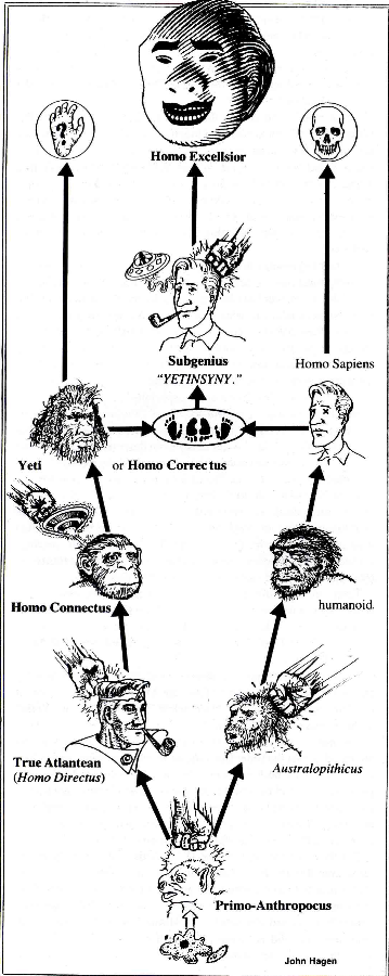 XNQn0p Homo-Line