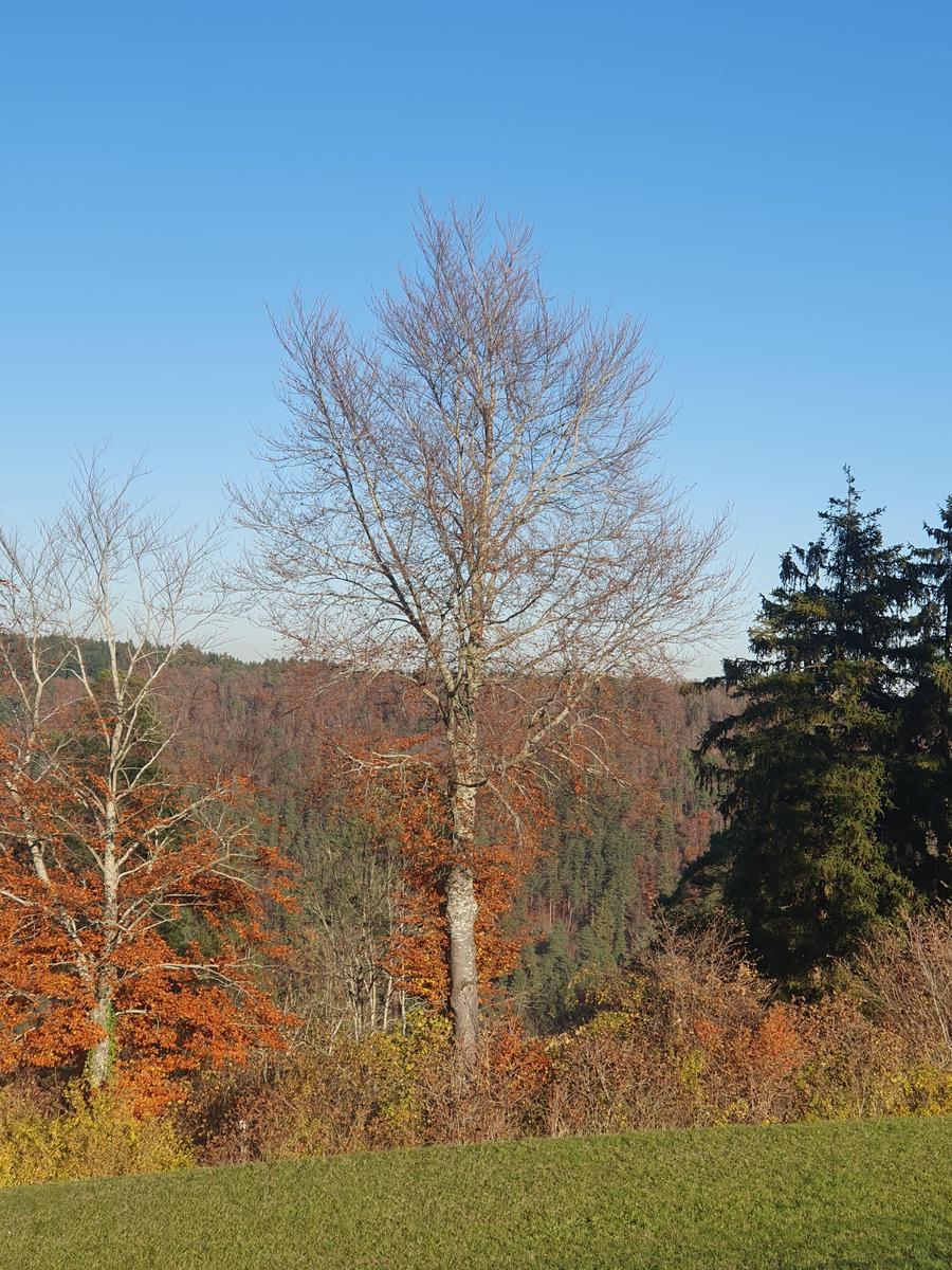 1762524968177732086599122384742