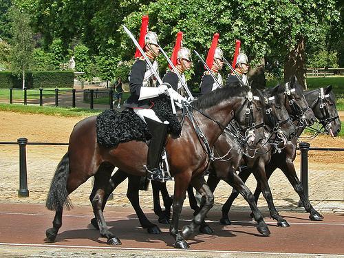 Bnv13f blues and royals