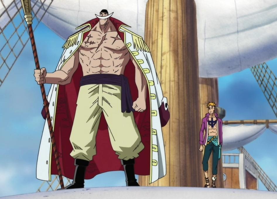 Whitebeard height comparison