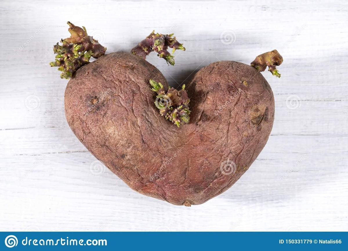 close-up-one-ugly-heart-shaped-potato-wh