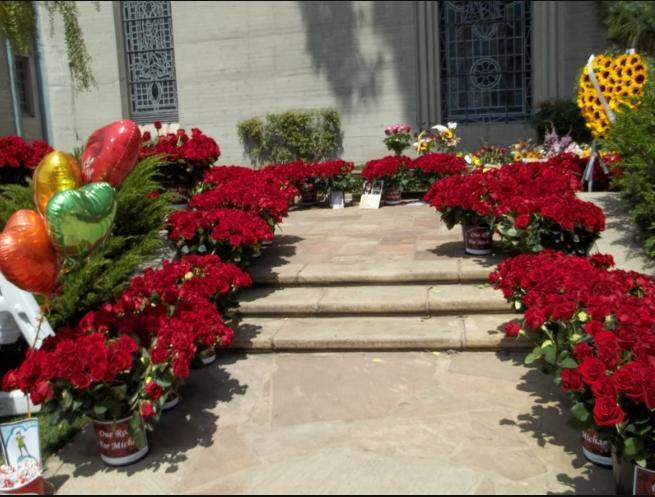 forestlawn250620111353