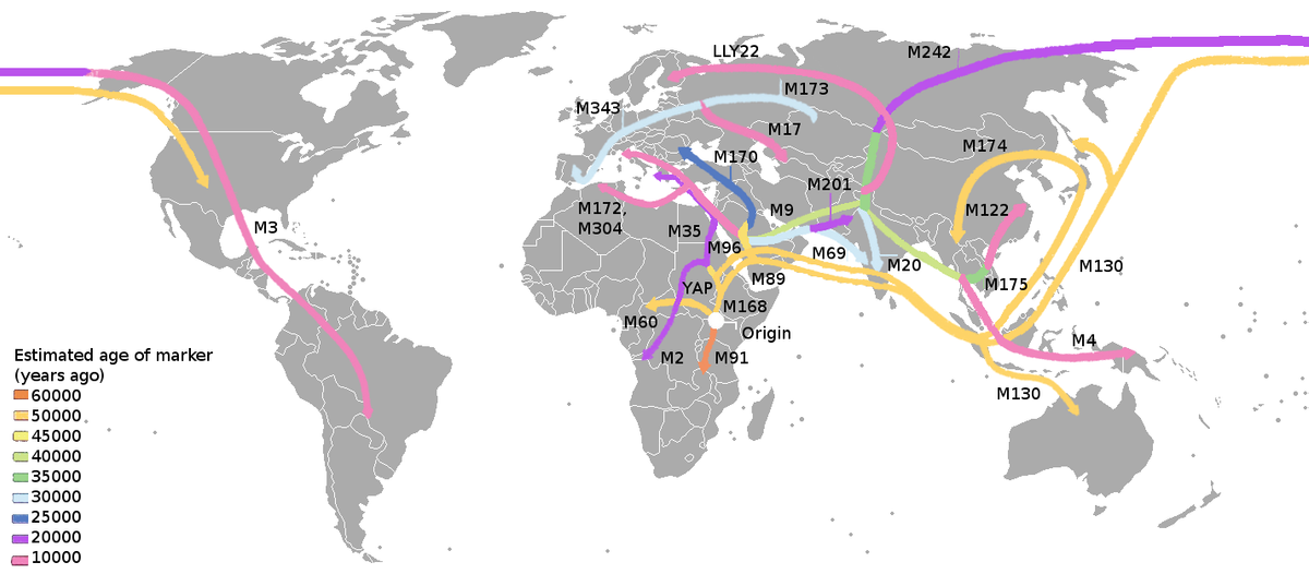 Human spreading over history