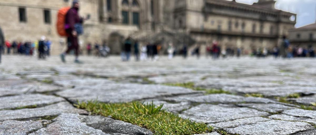 praca-obradoiro-zuschnitt