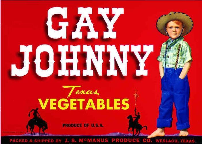 gay-johnny