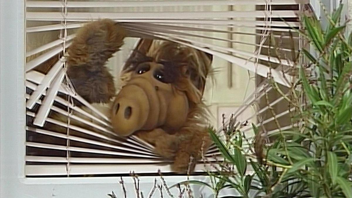 alf