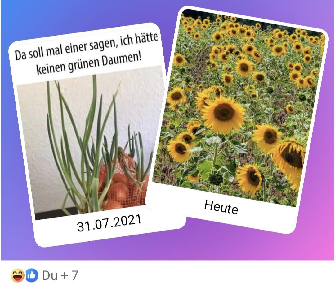 Screenshot 20250731 214055 Facebook