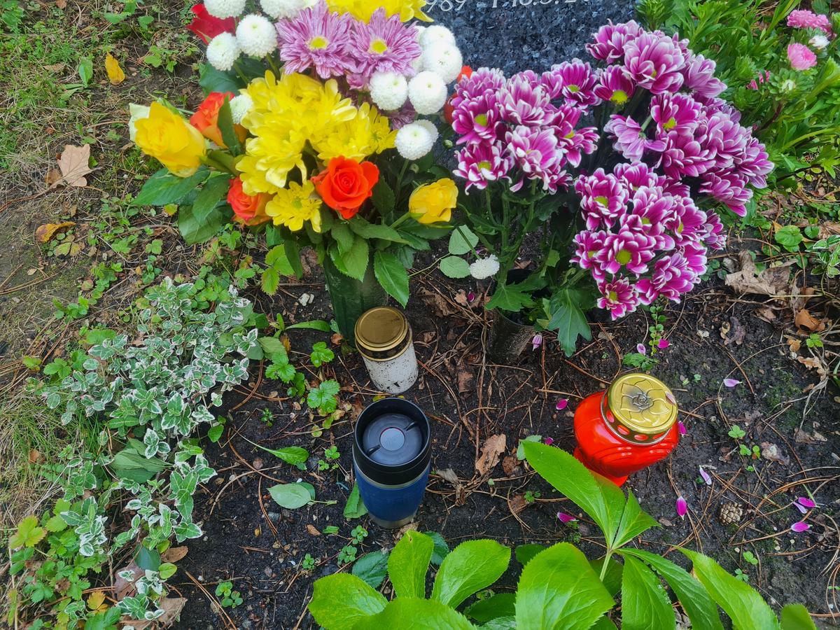 Friedhof Angie 2026