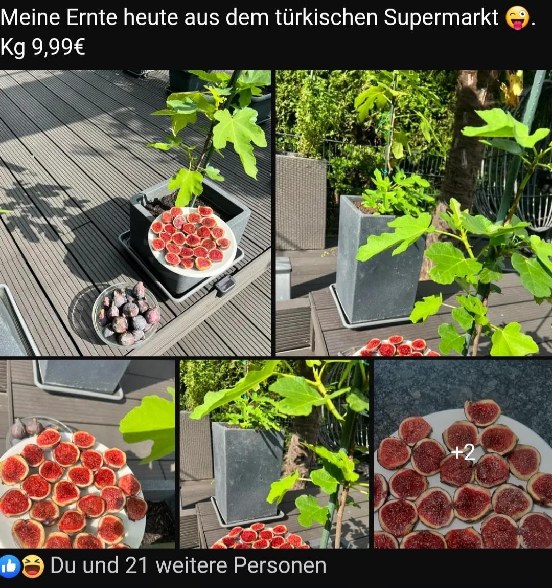 Screenshot 20230916-072242 Gallery