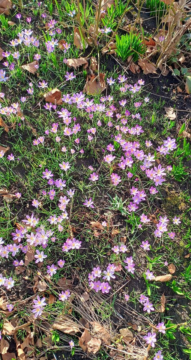 IMG 20260208 144226513 HDR AE2