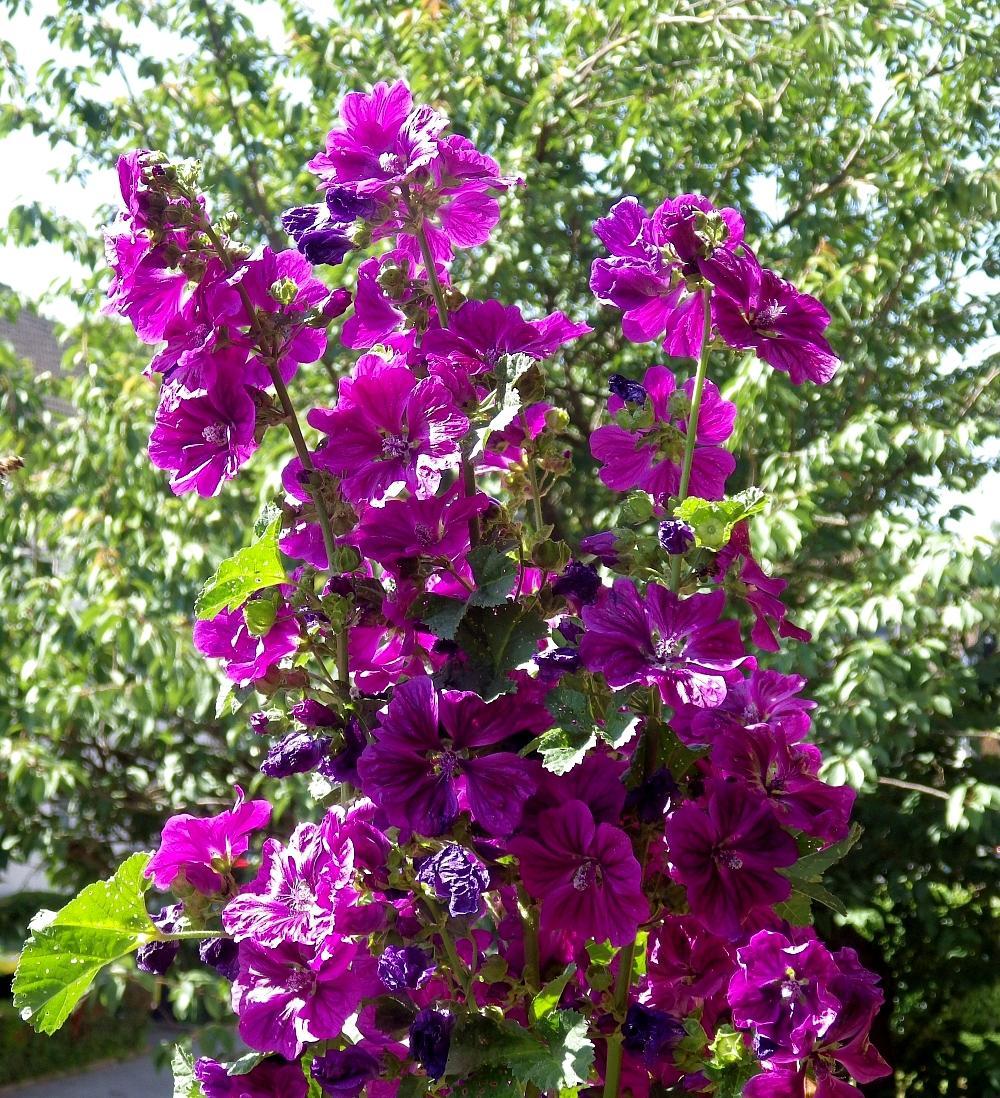 IMGP0304