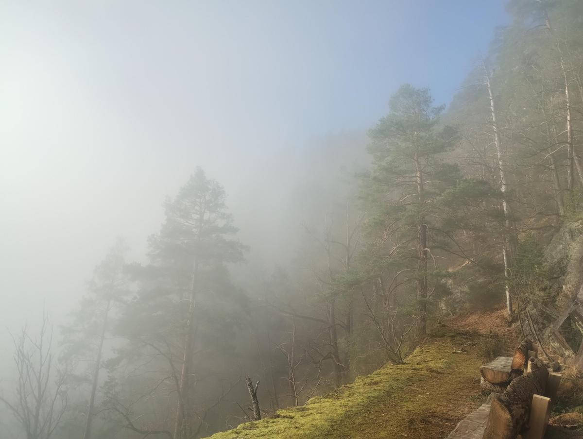 IMG 20251215 112350356