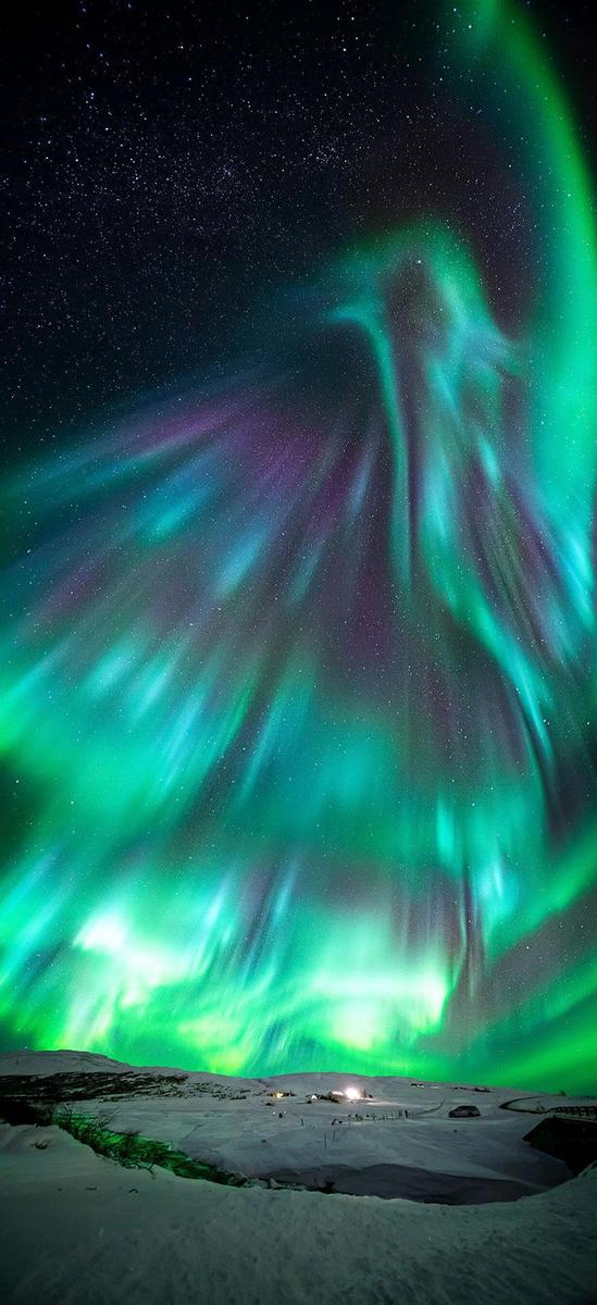 3aa5d0118109a499 Aurora-Like-Phoenix-By-Wang-Zheng