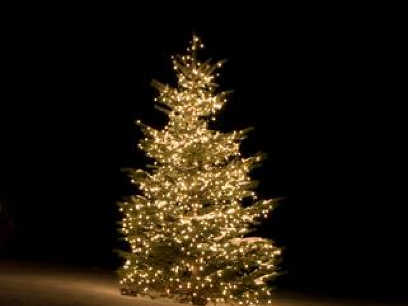 625953288b8793d0 Gold Christbaum